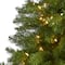 7ft. Pre-Lit Springfield Artificial Christmas Tree, Clear LED Lights
